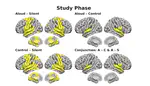 Neural Correlates of the Production Effect: An fMRI Study