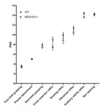 Early Postnatal Development of the MDGA2+/- Mouse Model of Synaptic Dysfunction