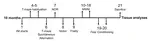 Intranasal insulin treatment ameliorates spatial memory, muscular strength, and frailty deficits in 5xFAD mice